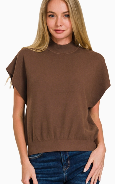 Brown Mock Neck Dolman Sleeve Sweater